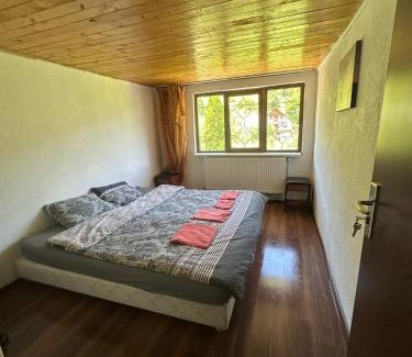 Ceahlau House | Pensiunea Stefan