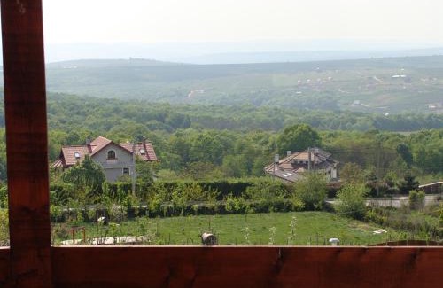 Iasi Hotel | Pensiunea Taverna Bucium