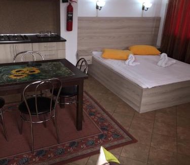 Cluj-Napoca House | Pensiunea Zbor 1
