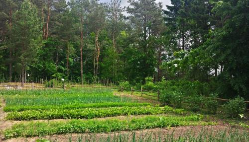 Faszcze Bed & Breakfast | Pensjonat Alicja