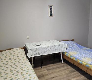 gmina Wiskitki House | Pensjonat Feliksów