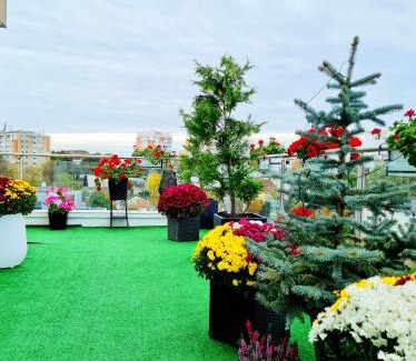 Iasi Apartment | Penthouse Aeroport Iasi