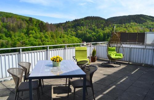 Bad Grund Apartment | Penthouse Falkennest