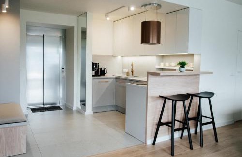 Ponice Apartment | Penthouse Słoneczna Rapsodia - blisko Parku Zdrojowego - duży taras na dachu - piękny widok - winda - garaż