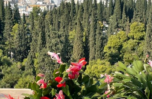 Athens Apartment | Penthouse with amazing view of Acropolis!
