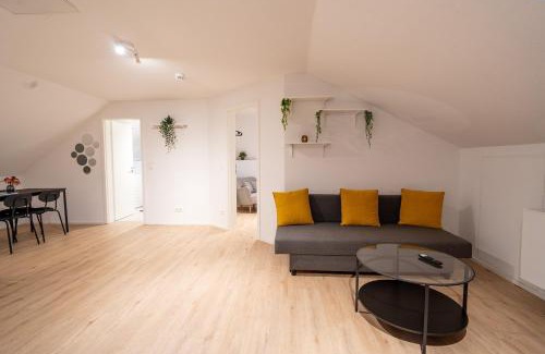 Koblenz Apartment | Penthouse Wohnung mit Terrasse