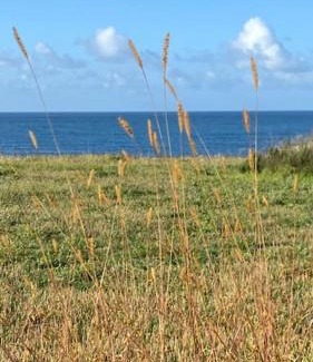 Plogoff House | Penty de La Pointe du Raz