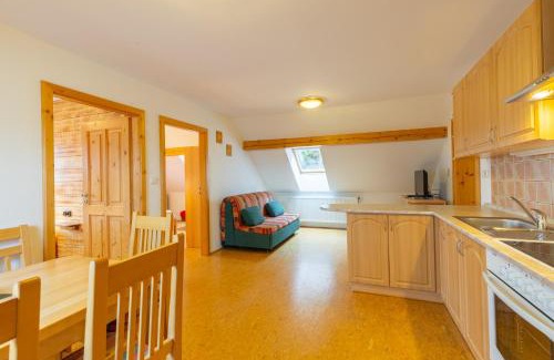 Strazny Apartment | Penzion Chlustov