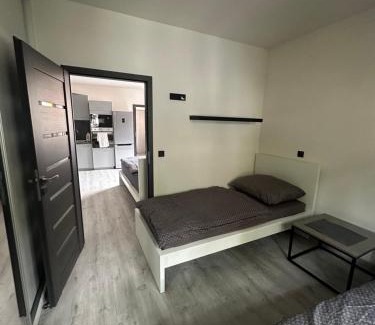 Zatec Apartment | Penzion Fortuna Žatec
