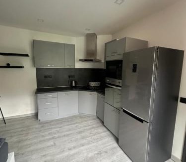 Zatec Apartment | Penzion Fortuna Žatec