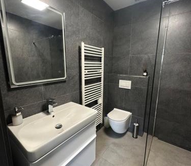 Zatec Apartment | Penzion Fortuna Žatec