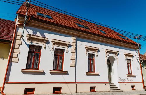 Dolni Dunajovice House | Penzion Lederer