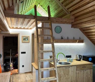Vyssi Brod Apartment | Penzion s rafty