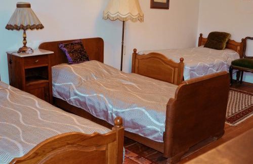 Ostrov House | Penzion u Čermáka