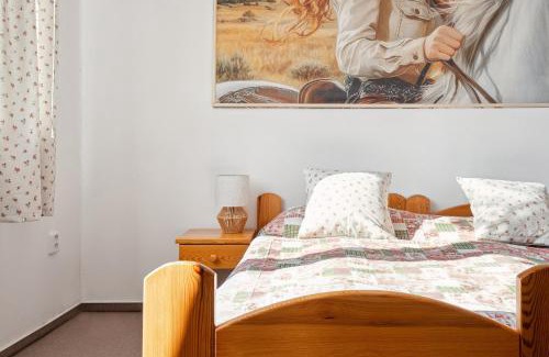 Jistebnice Apartment | Penzion U Bizona