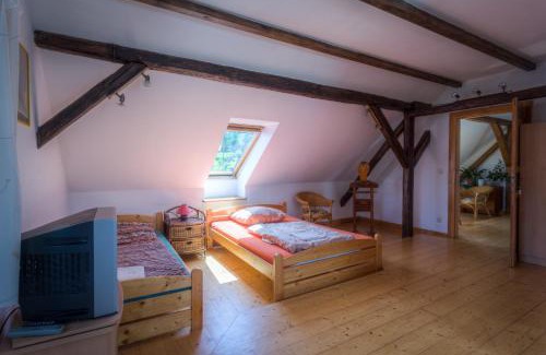 Nova Bystrice House | Penzion U Dračice