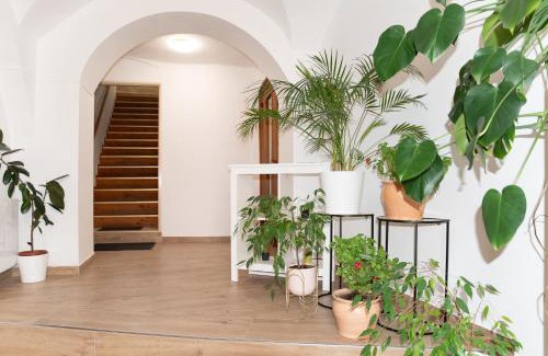 Znojmo Apartment | Penzion U Radnice , byt 5