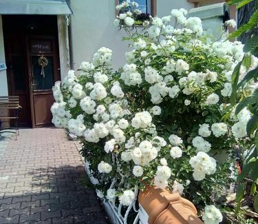 Marianske Lazne House | Penzion Villa Marion