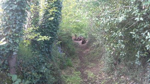 Colombiers-du-Plessis House | Pepe's Naturist Pod for 2 people Pays de la Loire