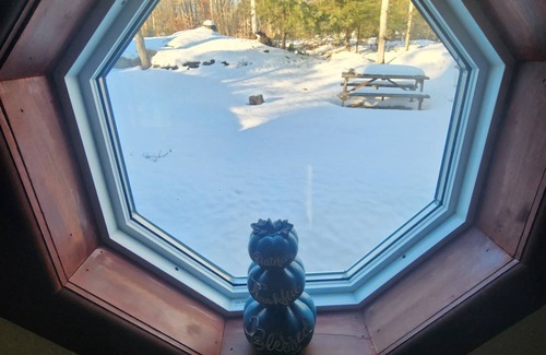 Havelock-Belmont-Methuen Cottage | Perfect Escape from the city, recharge and connect with nature!