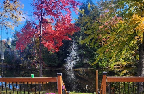 Havelock-Belmont-Methuen Cottage | Perfect Escape from the city, recharge and connect with nature!