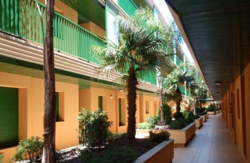 L'Eucaliptus Apartment | PERFECT APARTMENT IN DELTA DEL EBRO !!