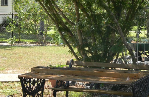 Currajong Cottage | Perfect Central Cottage