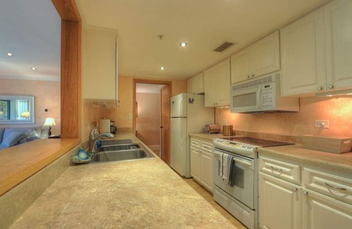 Palm Harbor Condo | Perfect Condo Sleeps 8 Private Community Florida