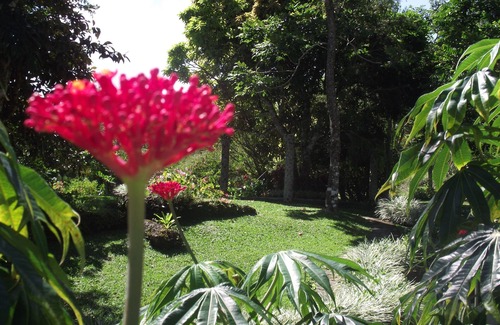 Panama Oeste Province Villa | Perfect Getaway & Bird-Watcher´s Paradise-1.5 Acre Mountain Villa