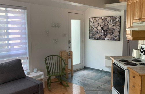 Mont-Tremblant Pedestrian Village Apartment | Perfect Location/Perfectly Located Ski-in/Ski-out