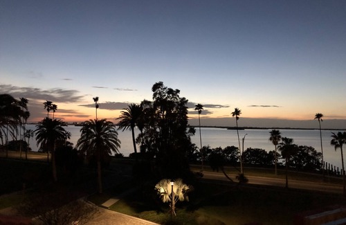 Dunedin Condo | Perfect Location, walk to Downtown Dunedin!