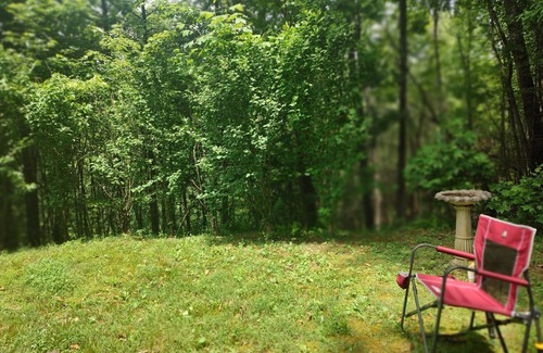 Turtletown Cabin | Perfectly Imperfect Cabin, in forest near Blue Ridge. Relax and enjoy nature.