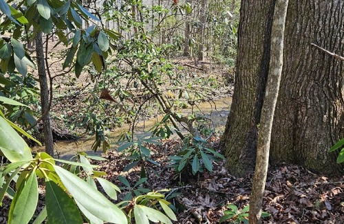 Turtletown Cabin | Perfectly Imperfect Cabin, in forest near Blue Ridge. Relax and enjoy nature.