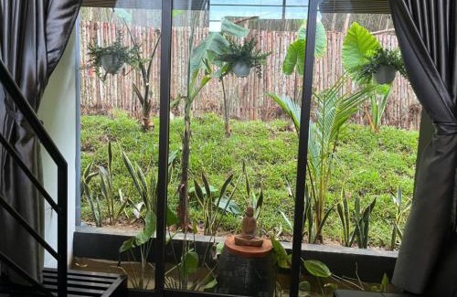 Son Trach House | Pet Fan Home - Nguyen Shack