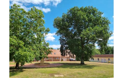 Passow Apartment | Pet Friendly Apartment