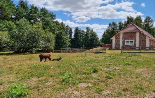 Passow Apartment | Pet Friendly Apartment