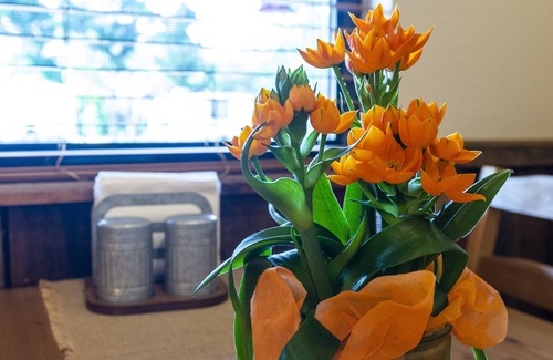 Waco House | Pet Friendly Cabin 4 - 15 Minutes From Magnolia and Baylor