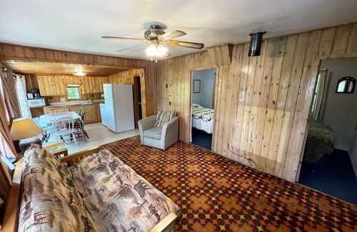 Nevis Cabin | Pet Friendly Cabin at Green Valley Resort on Seventh Crow Wing Lake