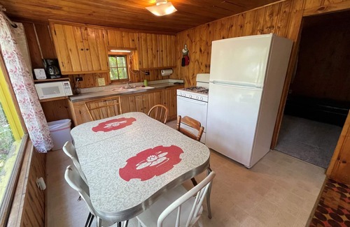 Nevis Cabin | Pet Friendly Cabin at Green Valley Resort on Seventh Crow Wing Lake