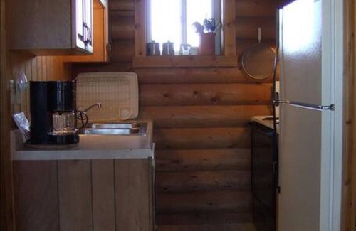 Driggs Cabin | Pet Friendly Darby Cabin
