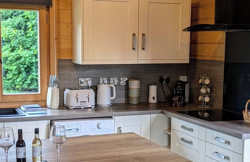 Newcastleton Cabin | Pet Friendly - Lodge at Riverview Holiday Park