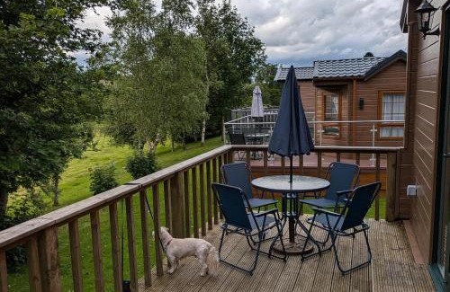 Newcastleton House | Pet Friendly - Lodge at Riverview Holiday Park