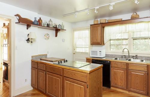 Warm Springs House | Pet-friendly Log Cabin with Wifi