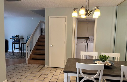 Wedgewood Of Palm Harbor House | Pet Friendly Palm Harbor Oasis