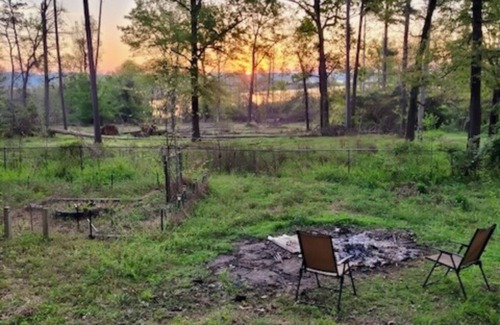 Ore City Apartment | Pet-friendly studio cabin w/shared pool, firepit, lake access
