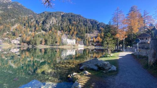 Champex-Lac Apartment | Petit Canada - Studio à louer