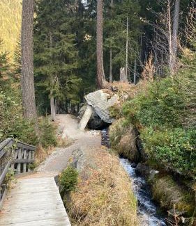 Champex-Lac Apartment | Petit Canada - Studio à louer