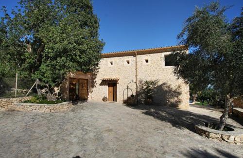 Petra House | Petit