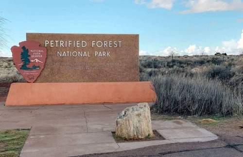 Holbrook RV Rental | Petrified National Forest/Meteor Crater near Holbrook,AZ
