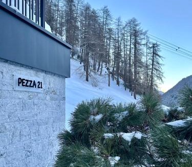 Ravaisch Apartment | Pezza 21